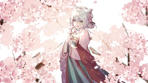 anime cat girl with a lovely smile cherry blossom moewalls 