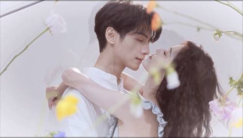 白鹿罗云熙