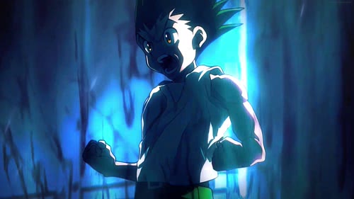  Hunter x Hunter