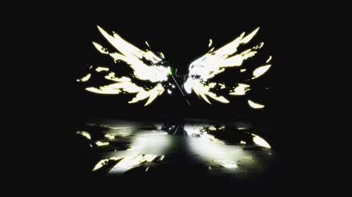 展翅