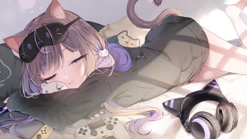 猫
