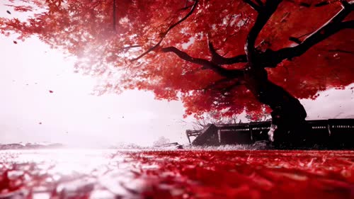 微风落叶