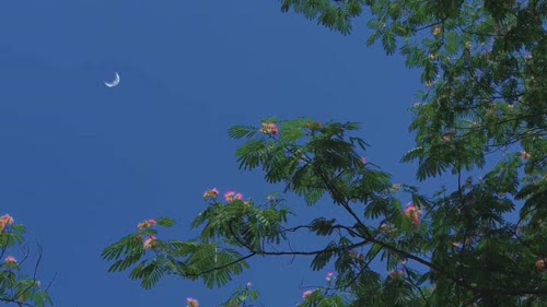 晓看暮色