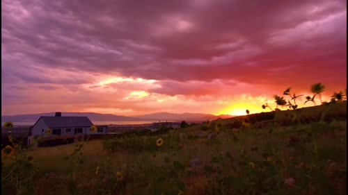 夕阳 房屋