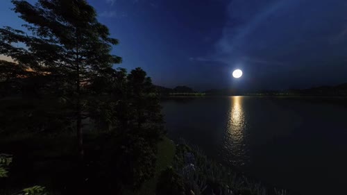 月光