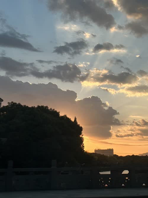 阳光