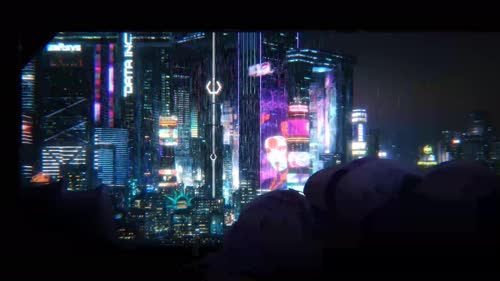 老猫