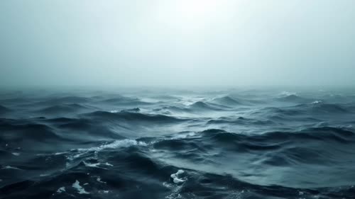 海