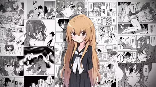 老猫