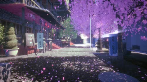 老猫