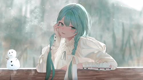 老猫