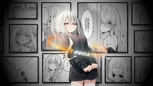 老猫