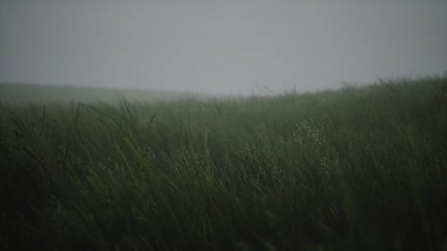 阿凯