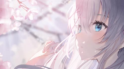 樱花树下