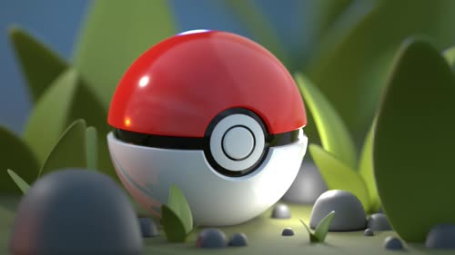 Congratulations you catch your First Pokémon