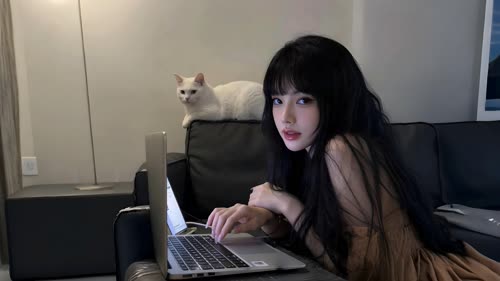 猫和你-tt