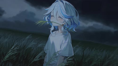 二次元-原神-叼草-tt