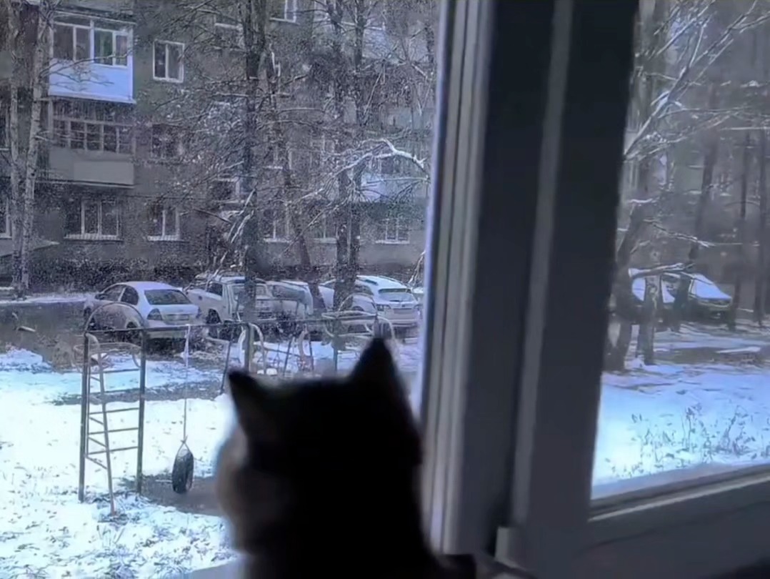 窗外雪