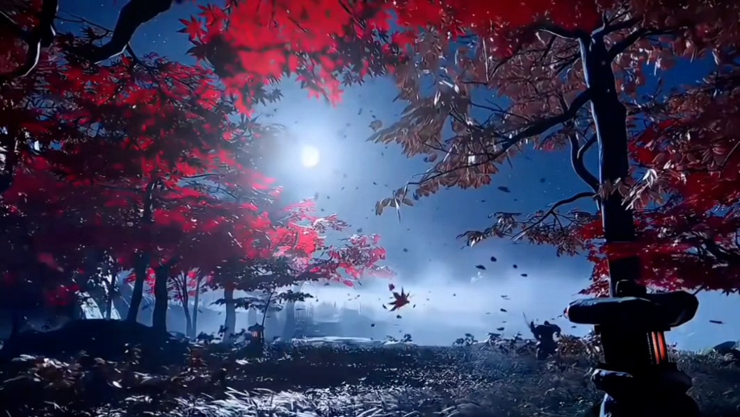 枫叶2