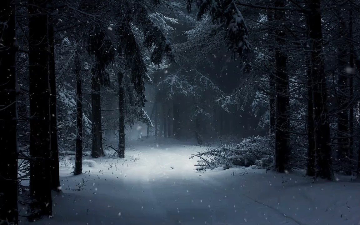 下雪