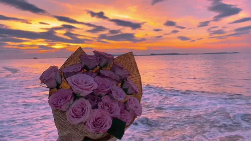 花与海
