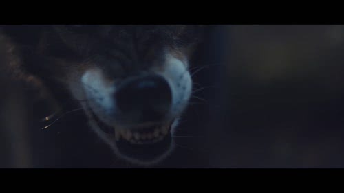 霉霉MV