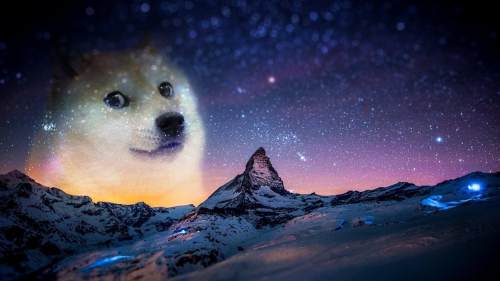 Doge