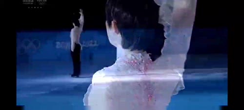 柚子