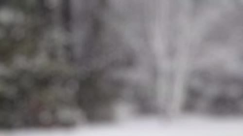 Snow