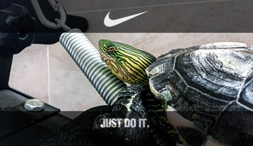 JUST DO IT