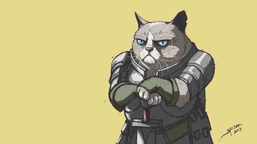 猫骑士