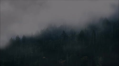 雨松