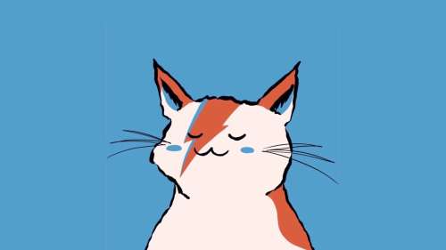 蓝色小猫