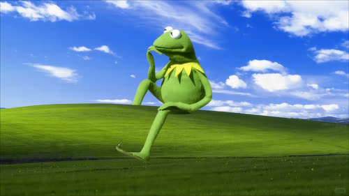 winxp 青蛙