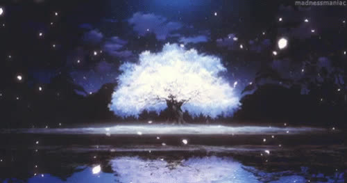 nice tree
