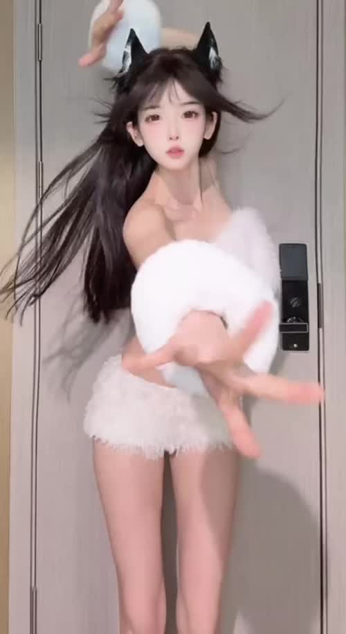 白猫