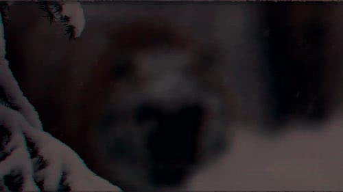 虎
