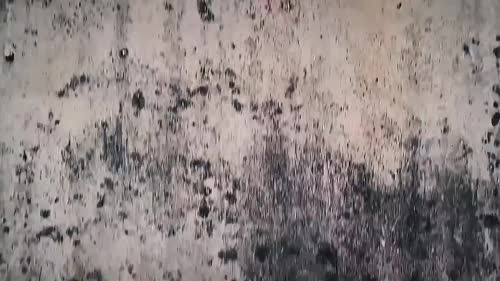 标准