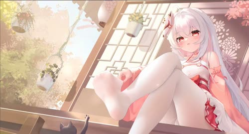 白丝