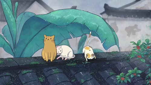 小猫