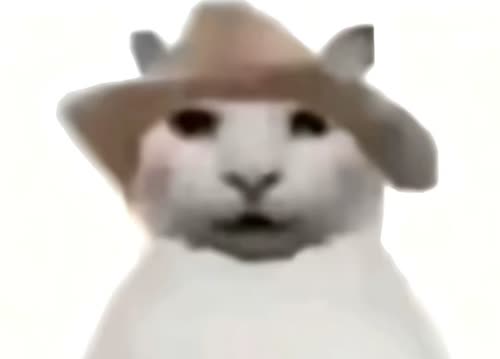 小猫