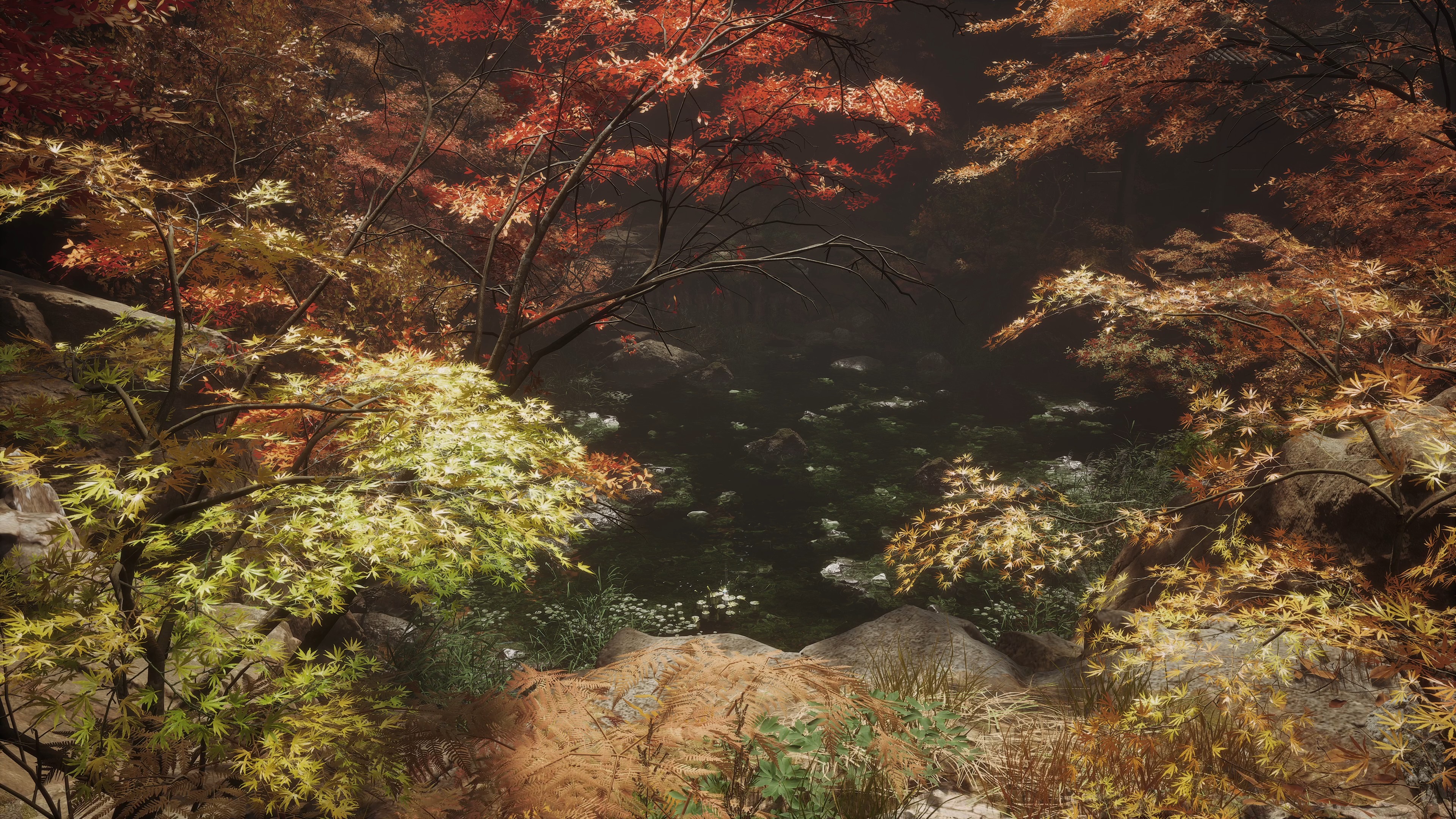 4K风景