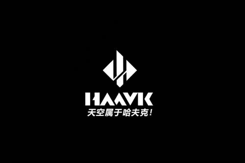 哈夫克于你同在