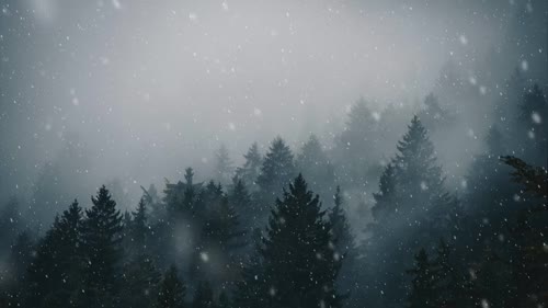 111