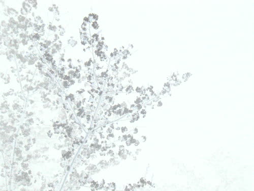 水墨画